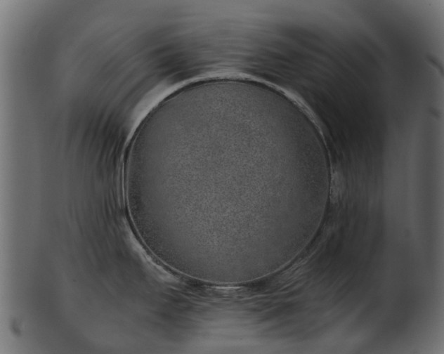 X0000101111295200807031731