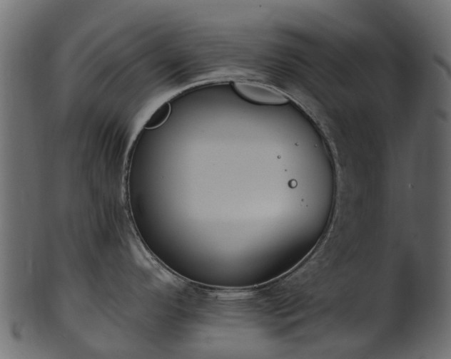 X0000101111296200807031731