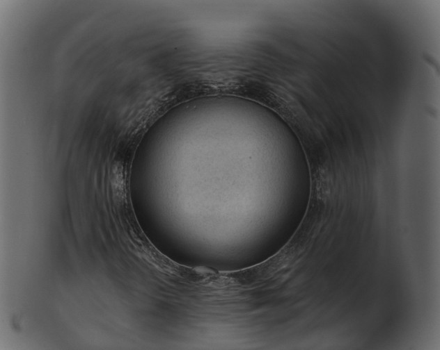 X0000101111298200807031730