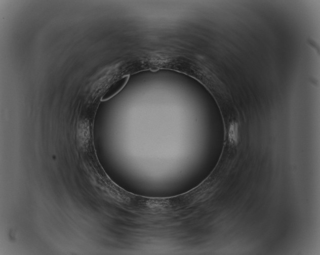 X0000101111299200807031730