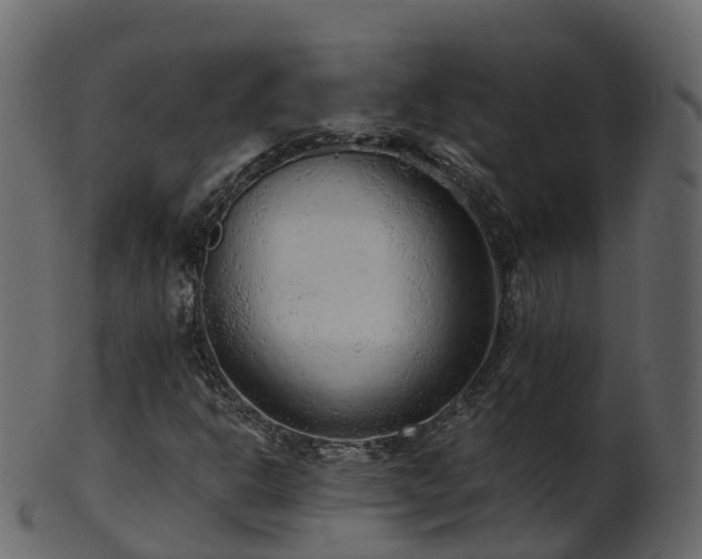 X0000101111302200807031730