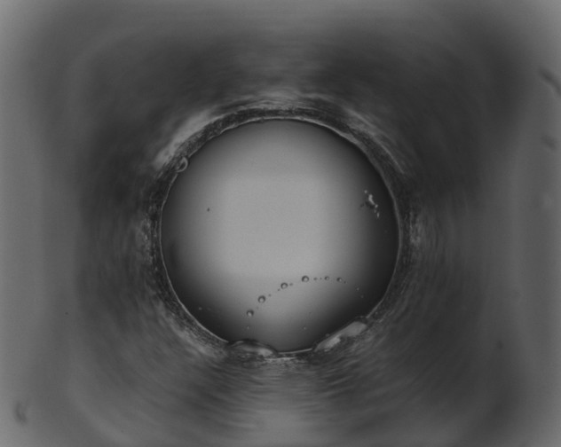 X0000101111304200807031730
