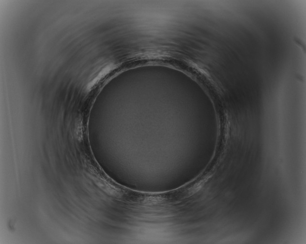 X0000101111306200807031730