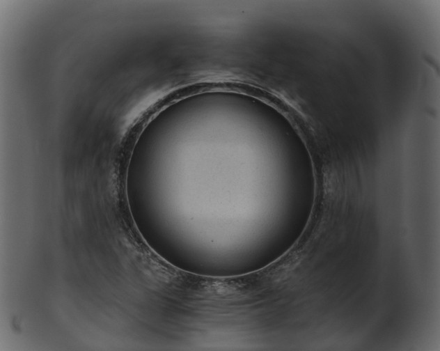 X0000101111311200807031730