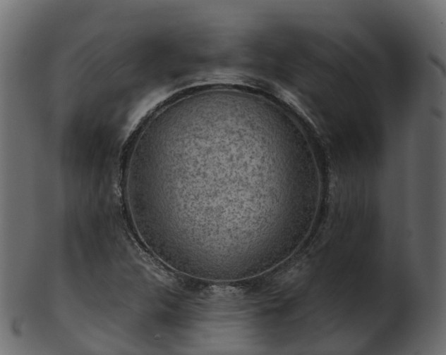 X0000101111312200807031730