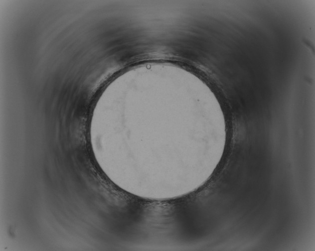 X0000101111314200807031730