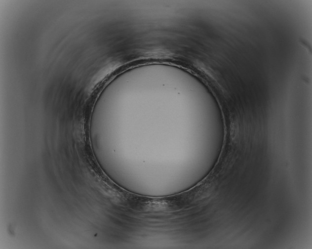 X0000101111315200807031730