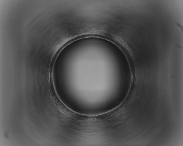 X0000101111316200807031730