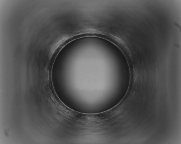 X0000101111318200807031730