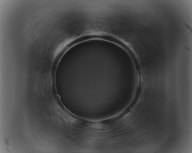 X0000101111319200807031730