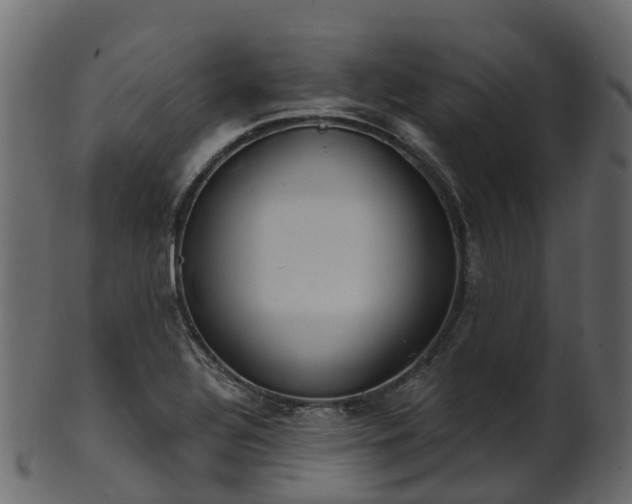 X0000101111320200807031730