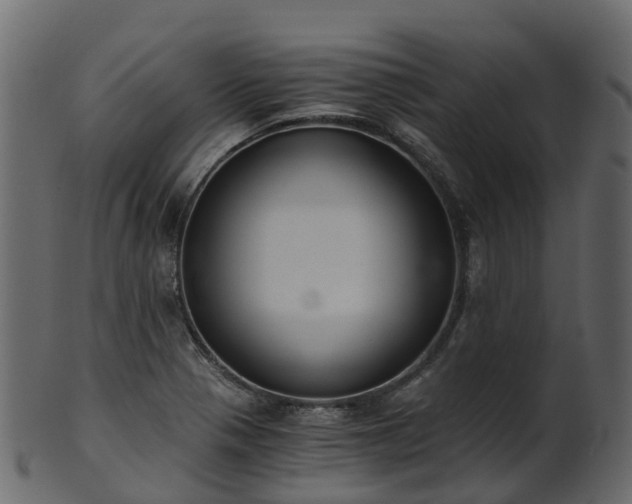 X0000101111321200807031730