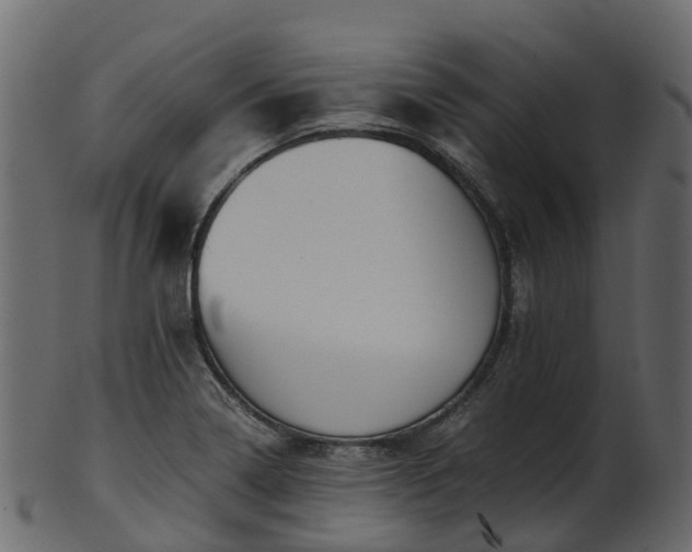X0000101111322200807031730