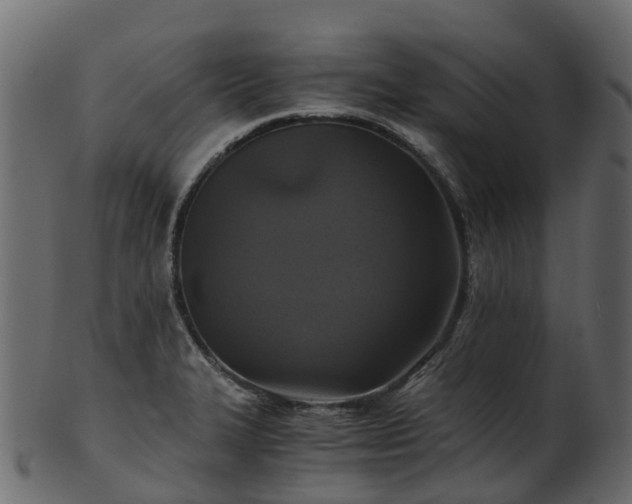X0000101111327200807031730