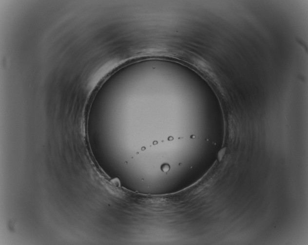 X0000101111328200807031730