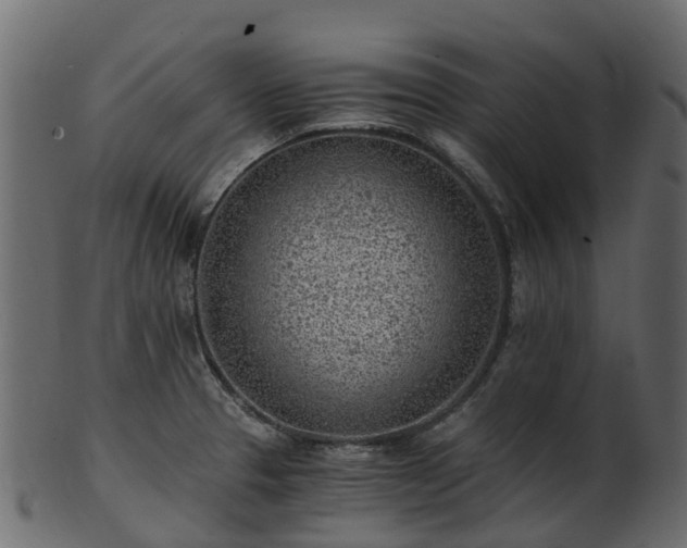 X0000101111329200807031730