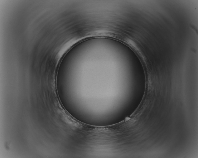 X0000101111336200807031730