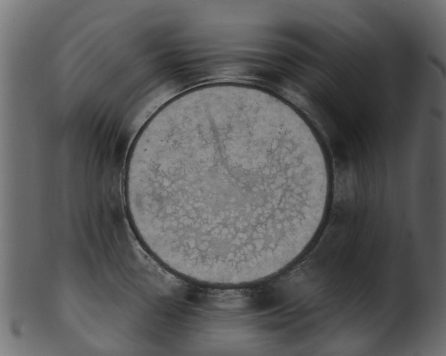 X0000101111338200807031730