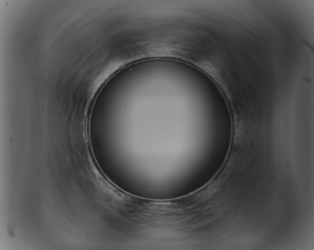 X0000101111342200807031731