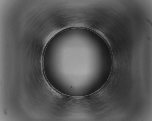 X0000101111343200807031731