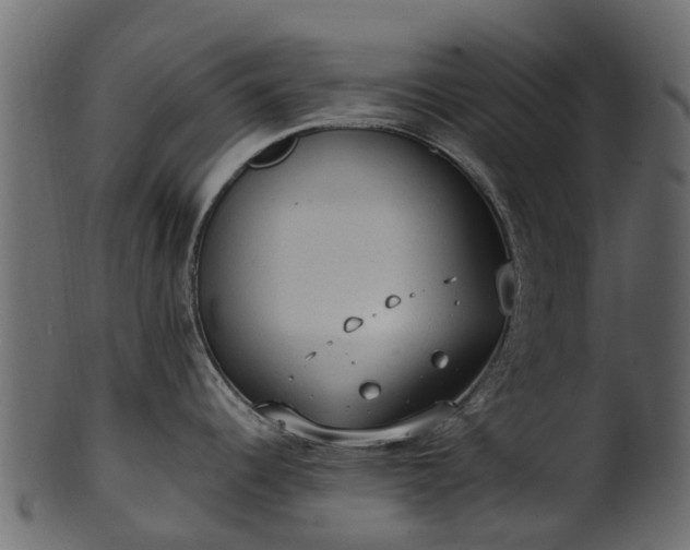 X0000101111344200807031731