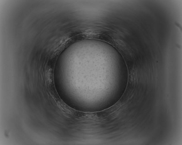 X0000101111346200807031730