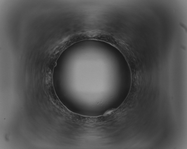 X0000101111349200807031730