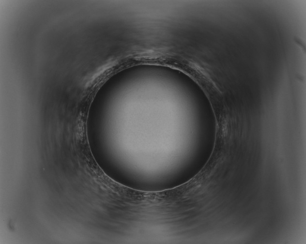 X0000101111350200807031730