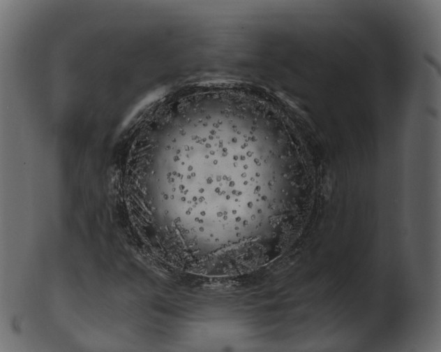 X0000101111351200807031730