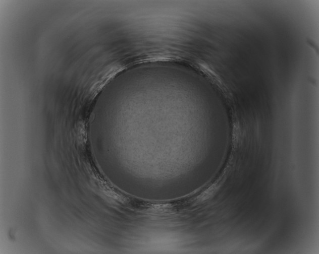 X0000101111353200807031730