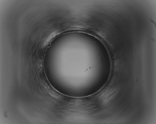 X0000101111355200807031730