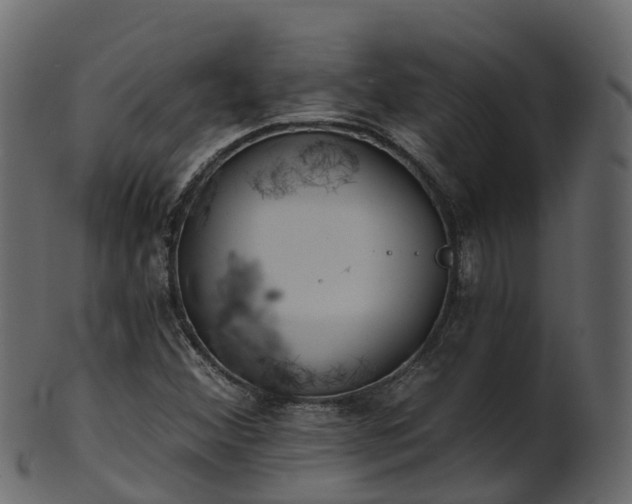 X0000101111356200807031730
