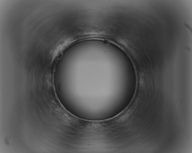 X0000101111357200807031730