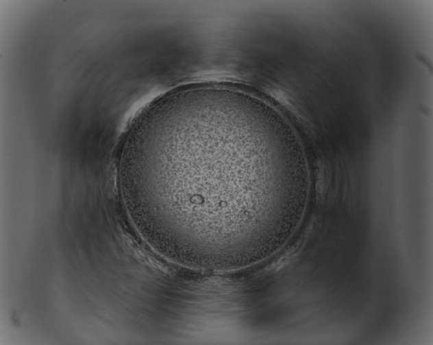 X0000101111358200807031730
