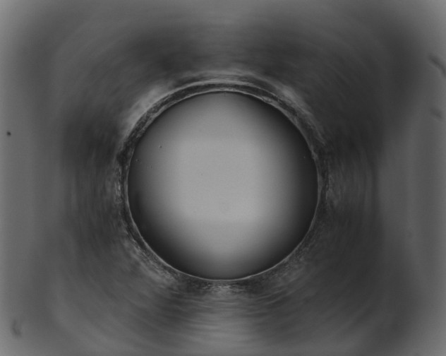 X0000101111360200807031730