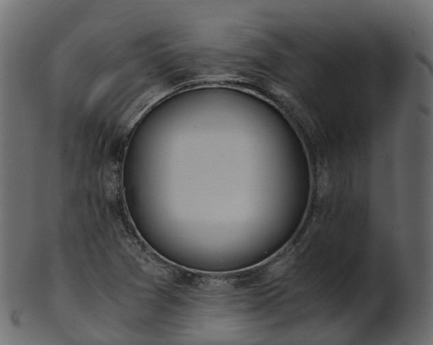 X0000101111361200807031730