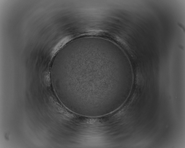 X0000101111362200807031730
