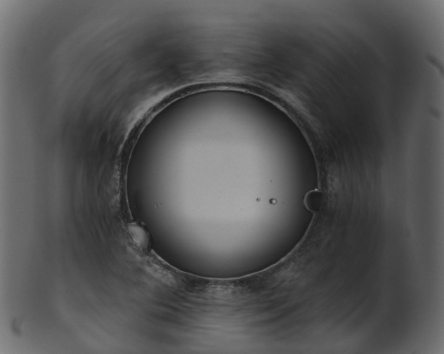 X0000101111364200807031730
