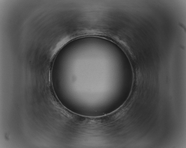 X0000101111365200807031729