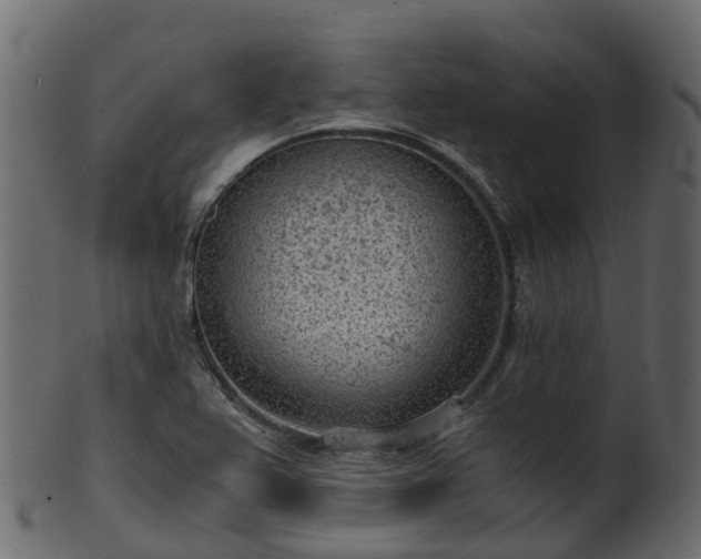 X0000101111367200807031729