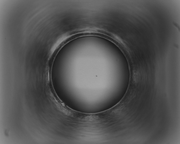 X0000101111368200807031729