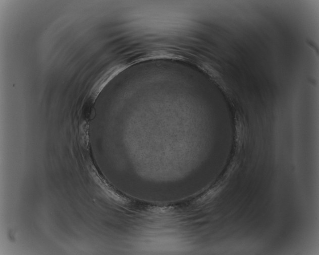 X0000101111369200807031729