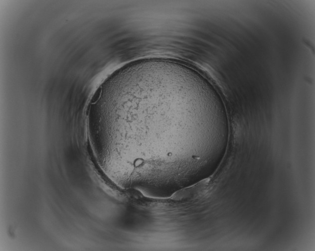 X0000101111371200807031729