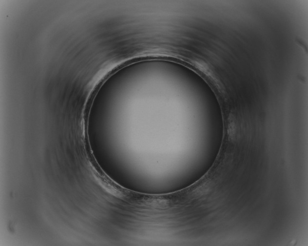 X0000101111372200807031729