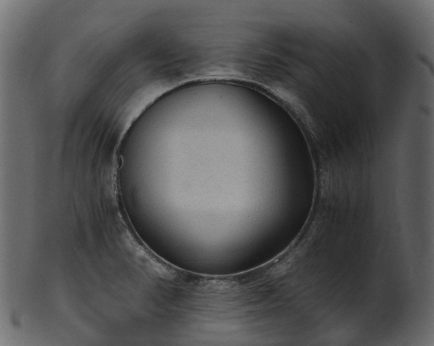 X0000101111374200807031729