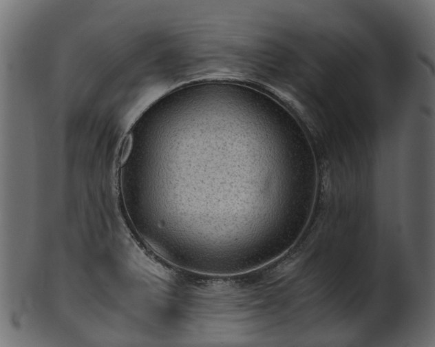 X0000101111375200807031729