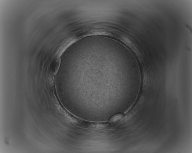 X0000101111377200807031729