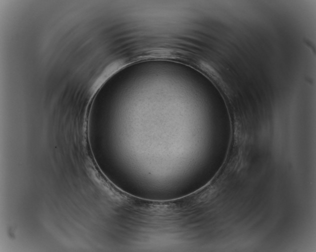 X0000101111378200807031729