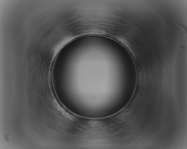 X0000101111379200807031729