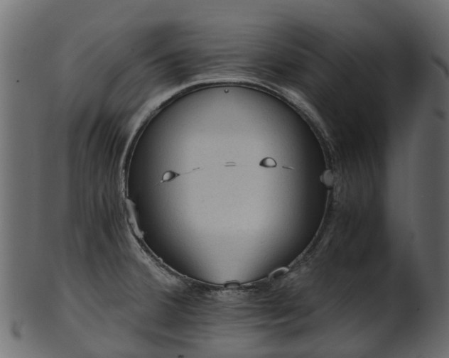 X0000101111380200807031729
